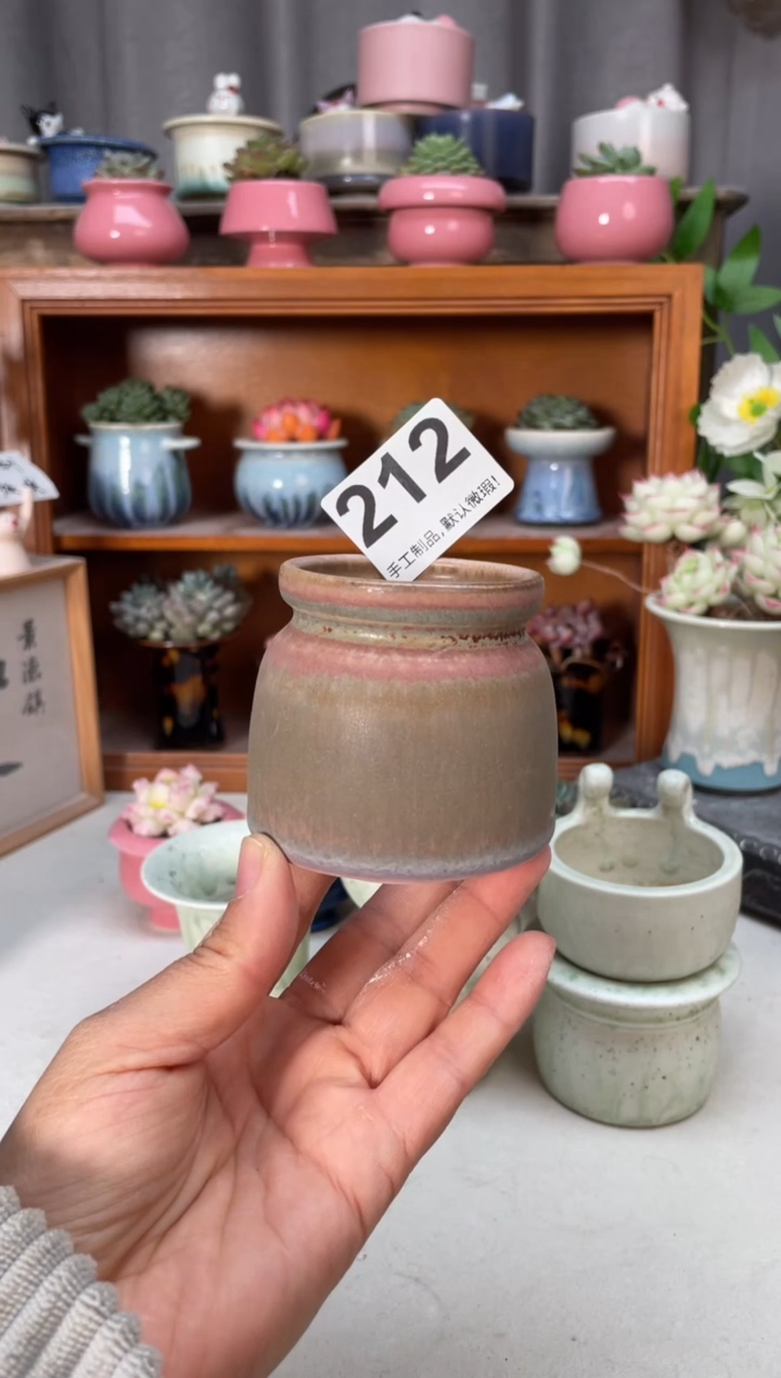 瓷片212小芳花盆直播编号
