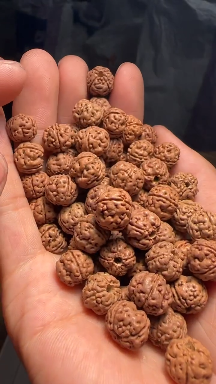 金刚菩提手串非全品四掰老树王散籽11-12mm一份一百颗