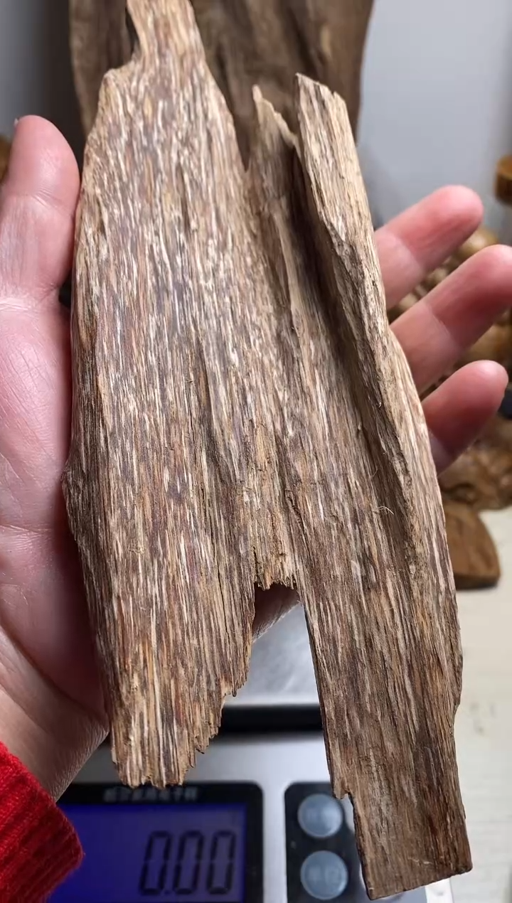 【闪购商品】沉香手把件老挝沉香虫漏料69克