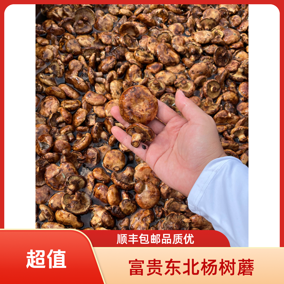 2025精品油磨丁 【无防腐剂 焯水撒盐发货】顺丰包邮1
