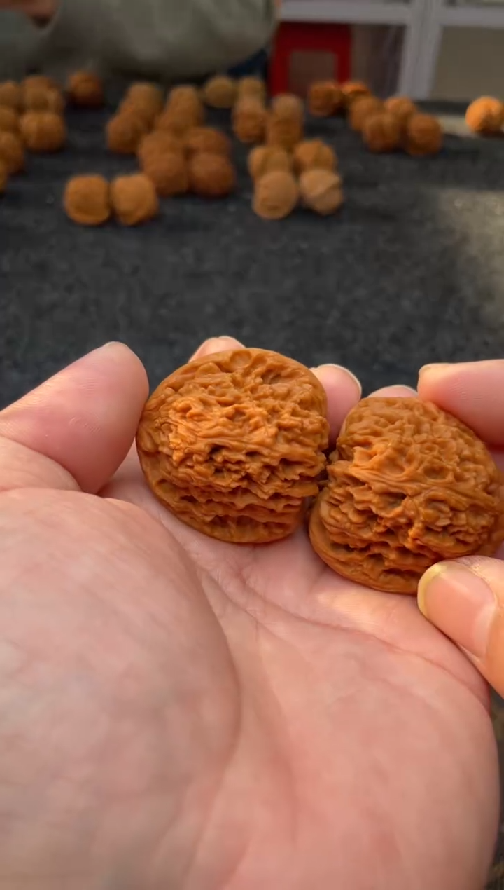 把件文玩核桃B  162号   40 尺 三角疆