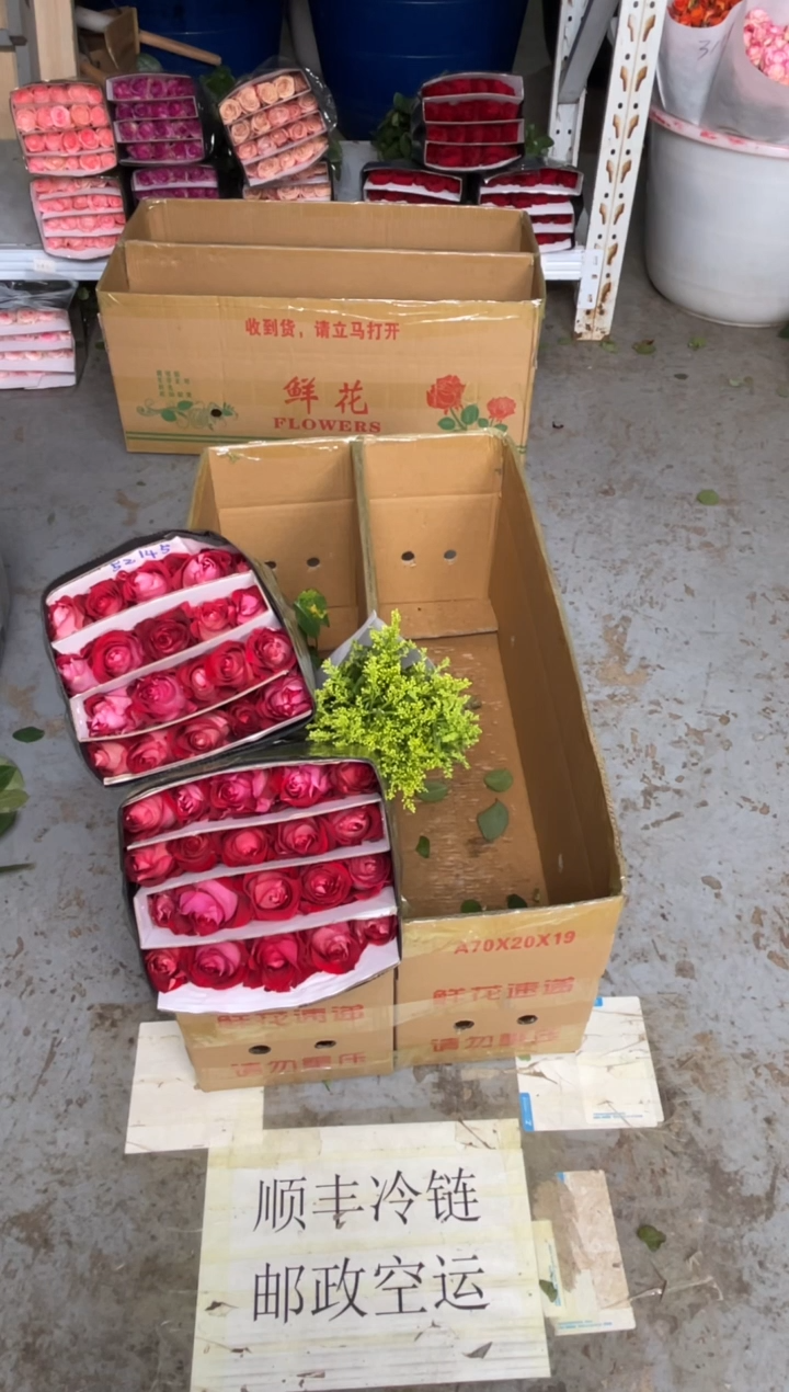 冰上芭蕾60枝+黄莺