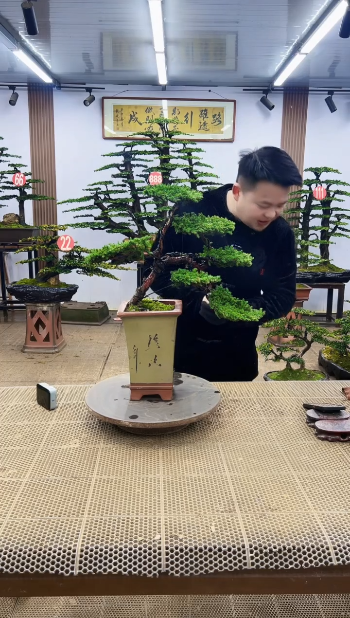 【闪购商品】0000000