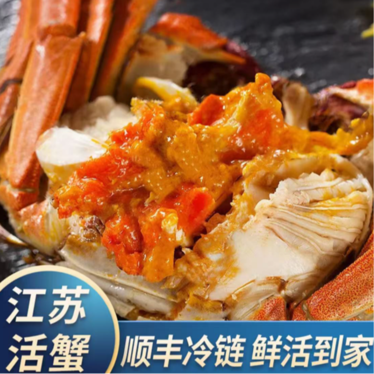 【活蟹】江苏精品大闸蟹 全母蟹3.5-3.2两 拍8只送2只到手10只 顺丰京东空运