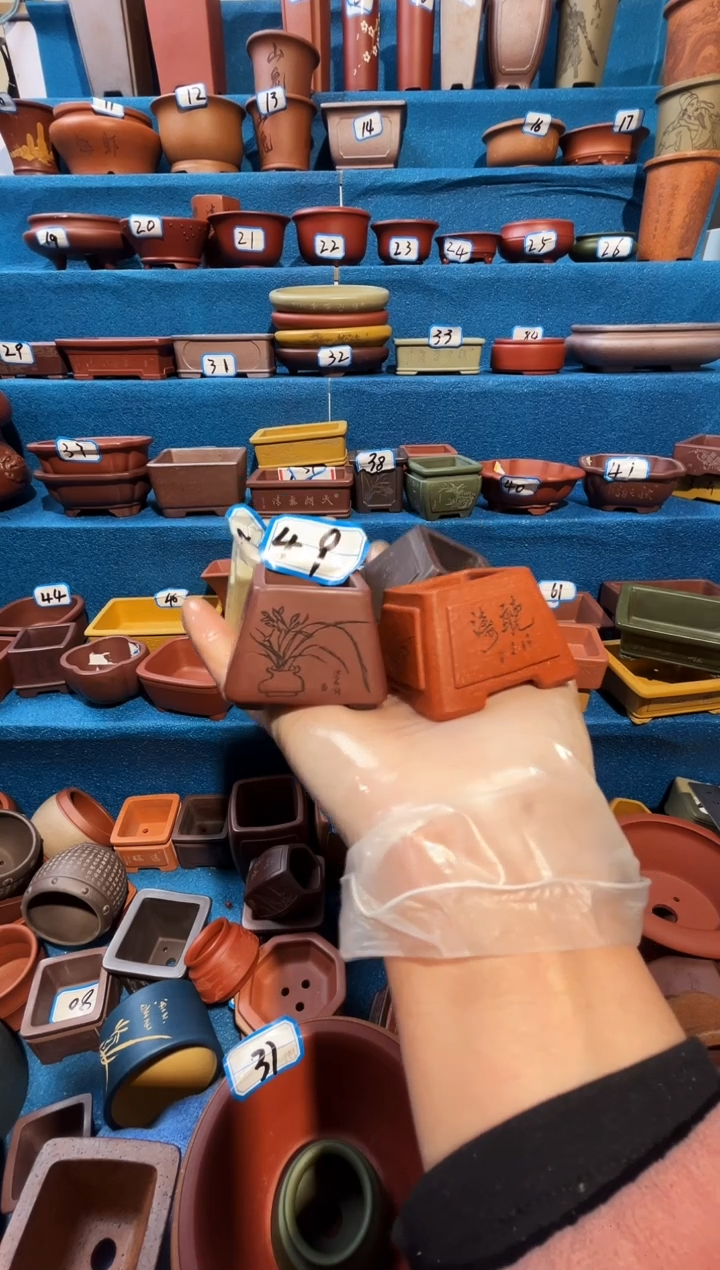 【闪购商品】紫砂紫砂花盆3*3