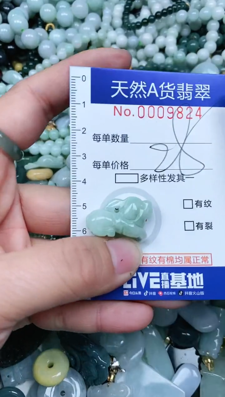 【闪购商品】翡翠吊坠(不含链)未镶嵌翡翠