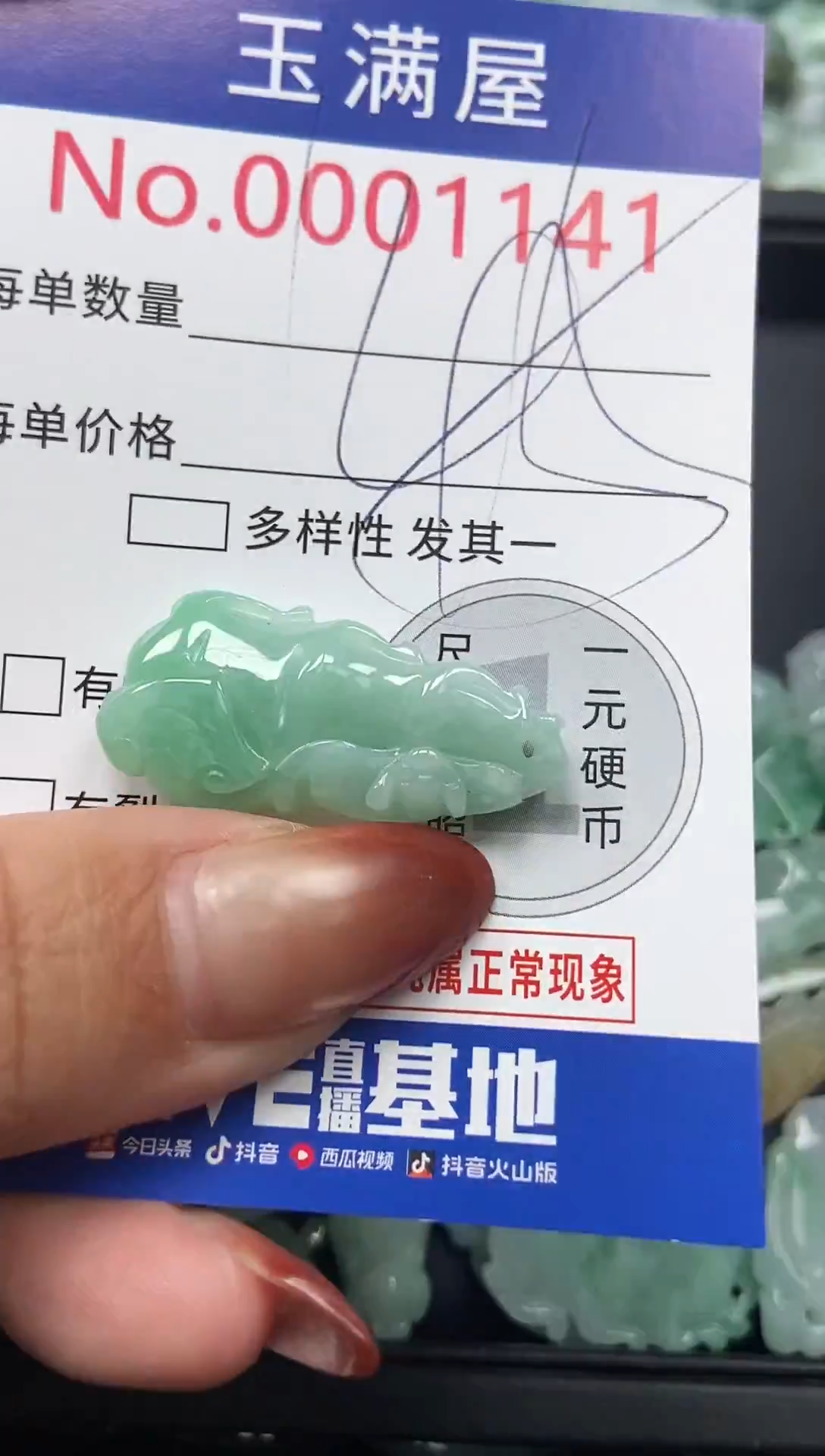 颈饰未镶嵌翡翠1141