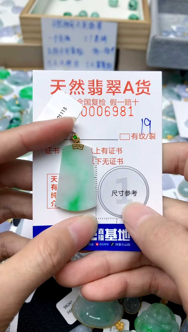 【闪购商品】翡翠颈饰18K金镶嵌19天然A货翡翠
