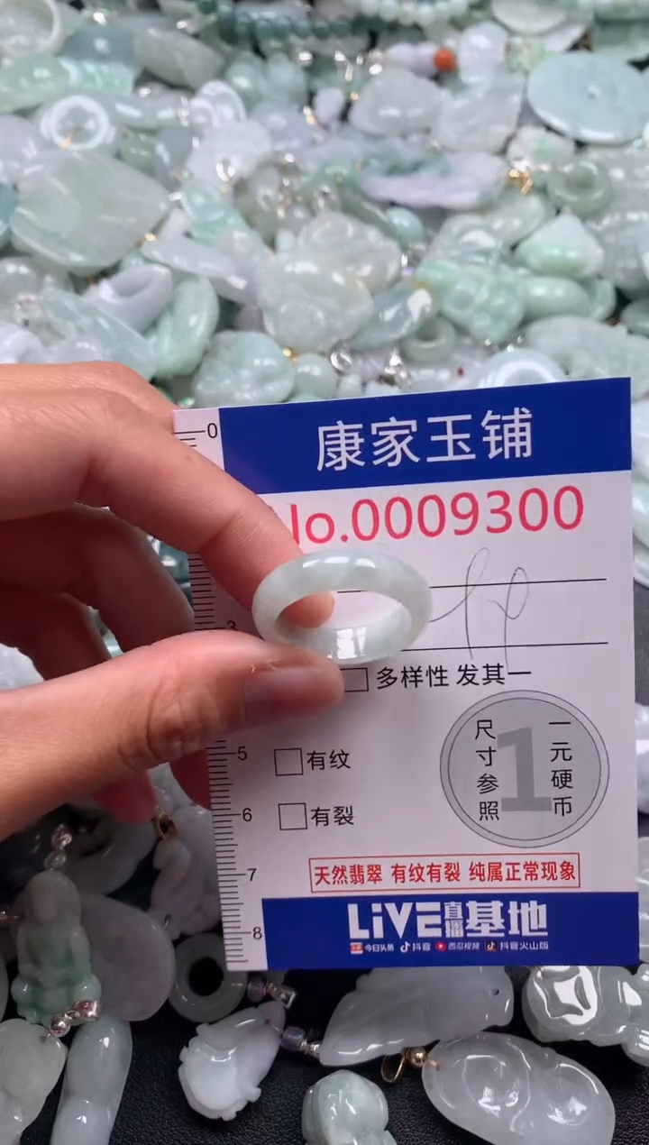 颈饰未镶嵌翡翠9300