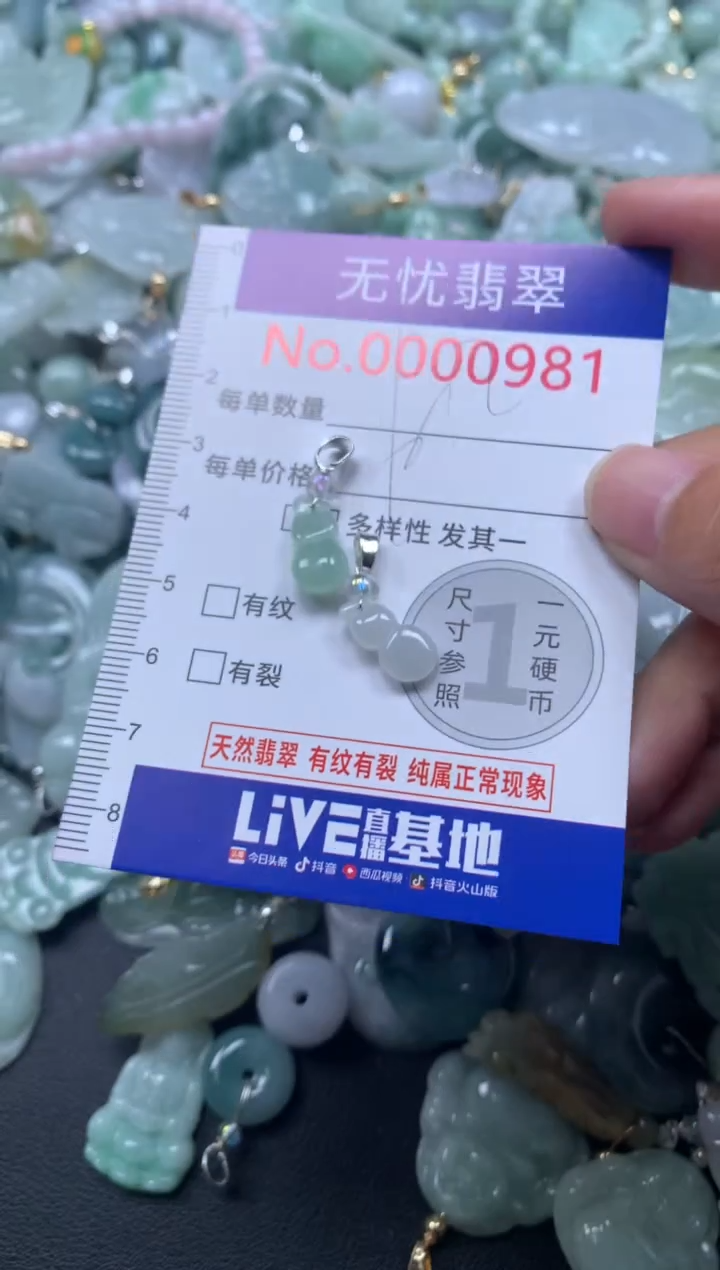 颈饰未镶嵌翡翠981