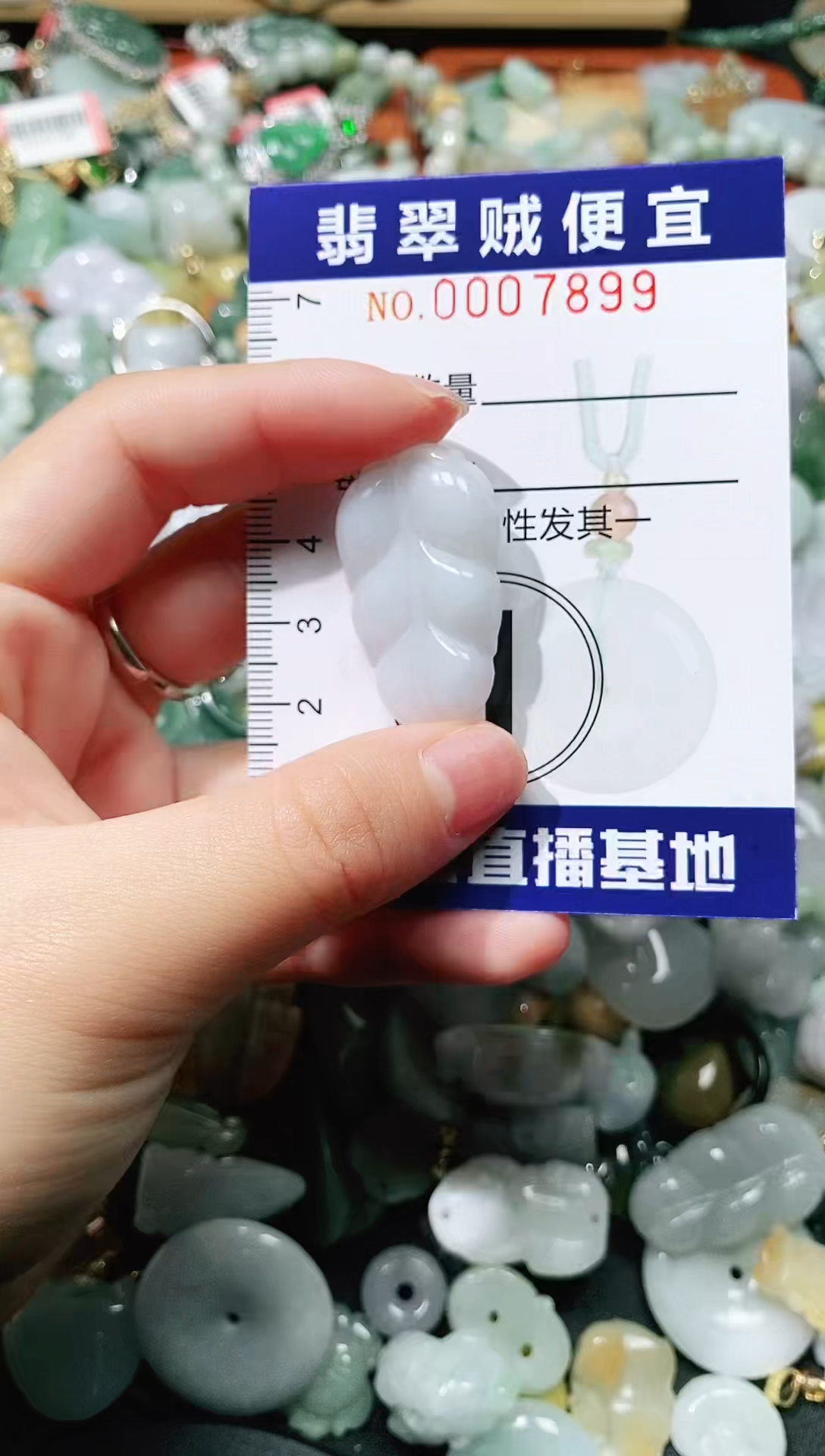 【闪购商品】翡翠颈饰未镶嵌闪购0007899