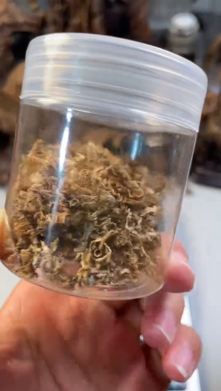 【闪购商品】沉香沉香碎屑越南芽庄越南芽庄