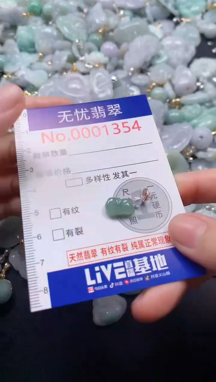 颈饰未镶嵌翡翠1354