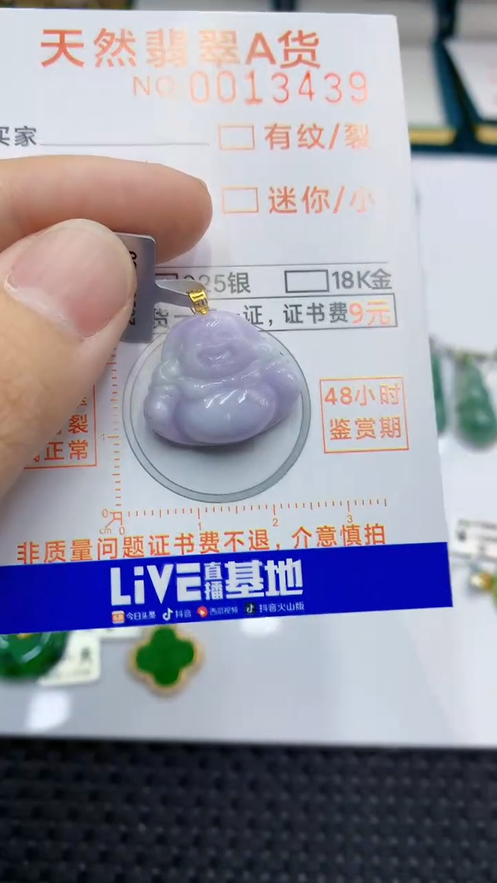 翡翠未镶嵌颈饰             1