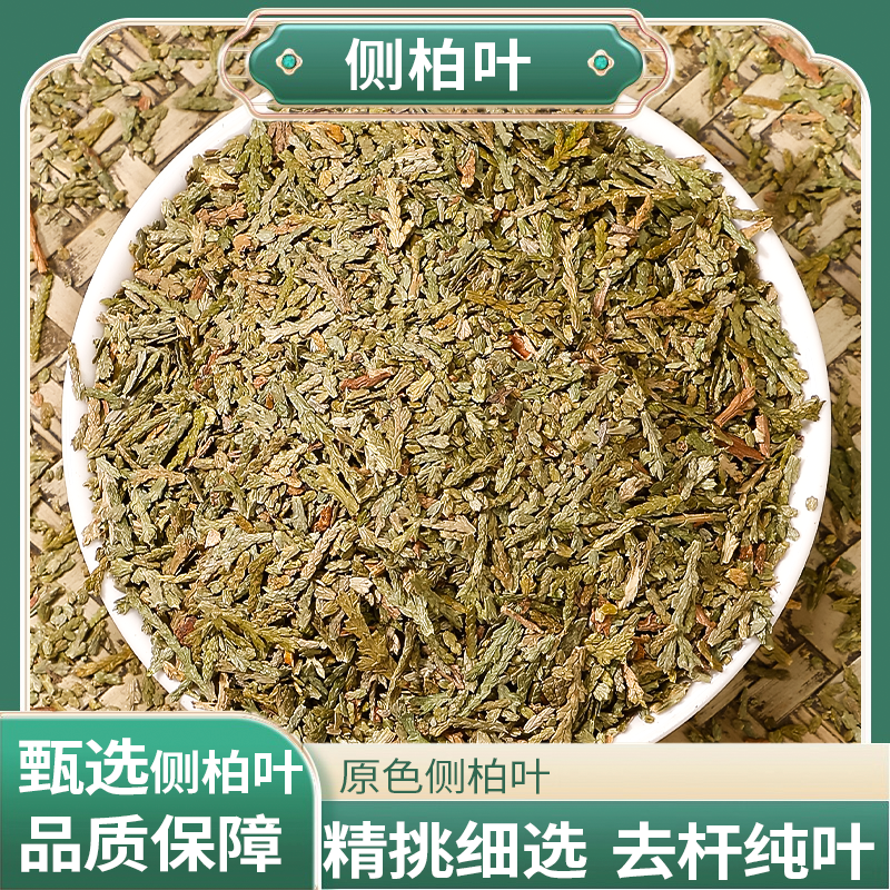正宗精选好货【侧柏叶】