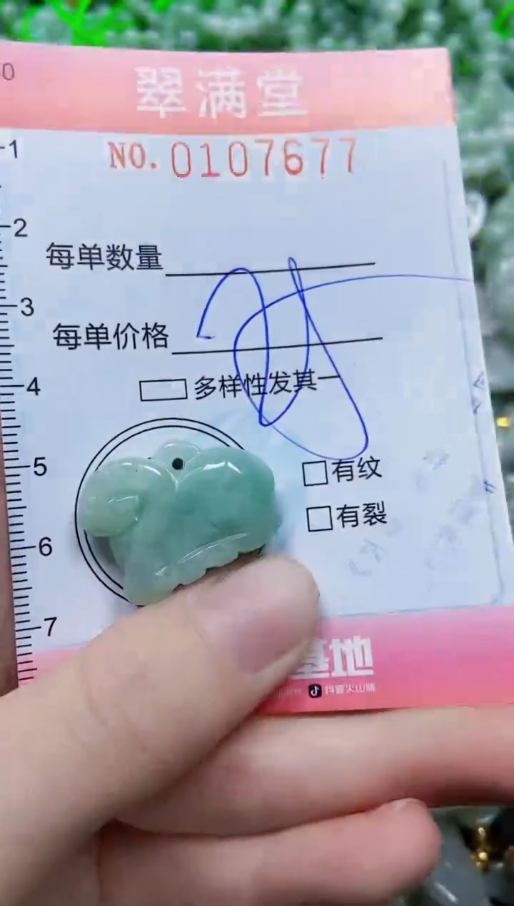 【闪购商品】翡翠颈饰未镶嵌闪购0107677