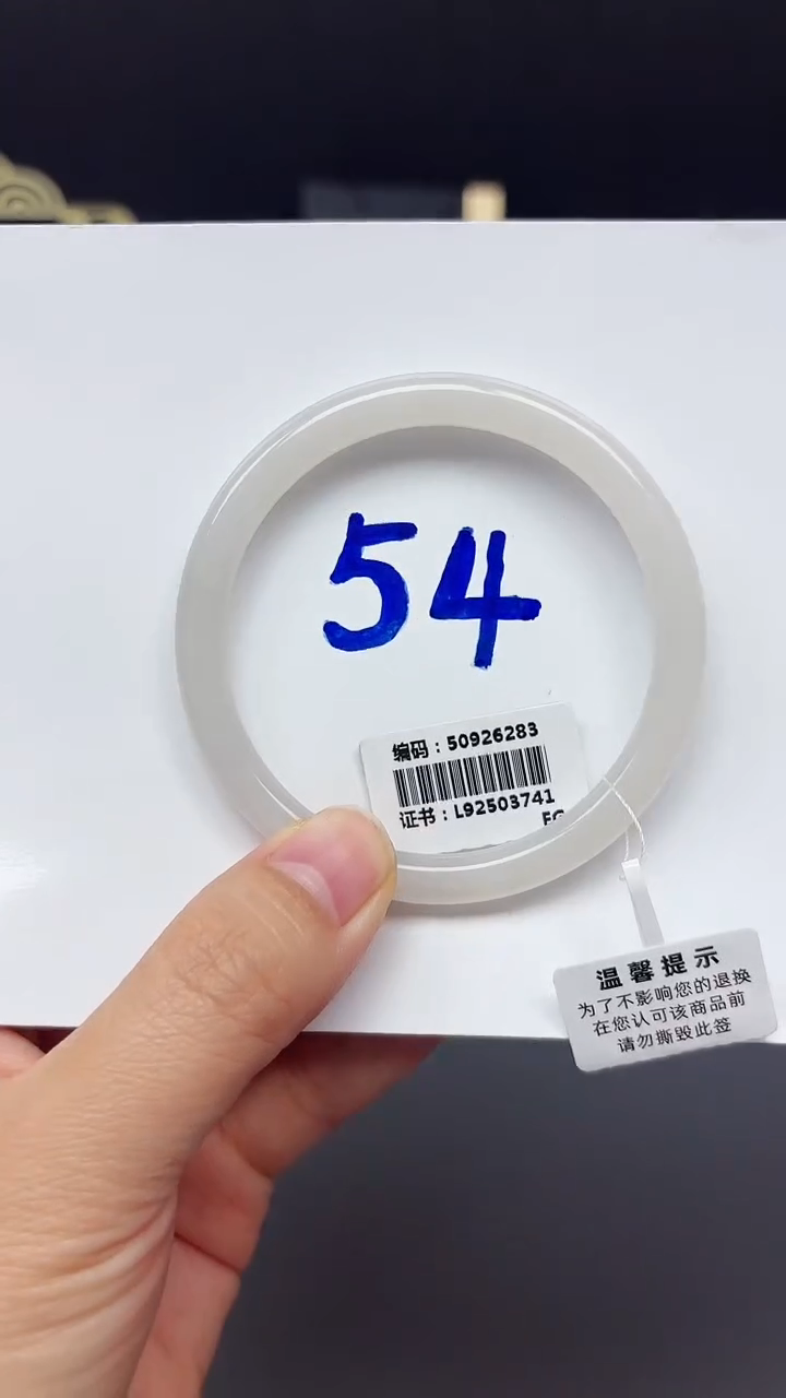 未镶嵌手镯和田玉6283