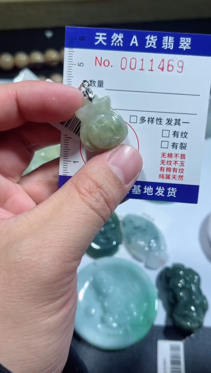 【闪购商品】翡翠颈饰未镶嵌00011469