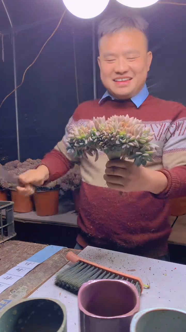 【闪购商品】缀化183