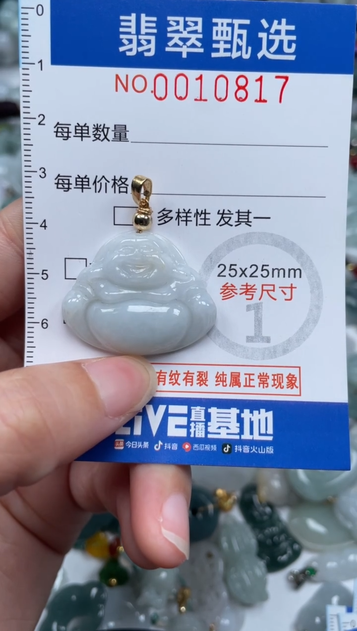 颈饰未镶嵌翡翠10817·