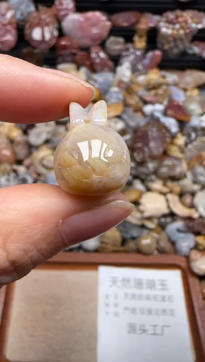 【闪购商品】硅化珊瑚（珊瑚玉）颈饰未镶嵌490