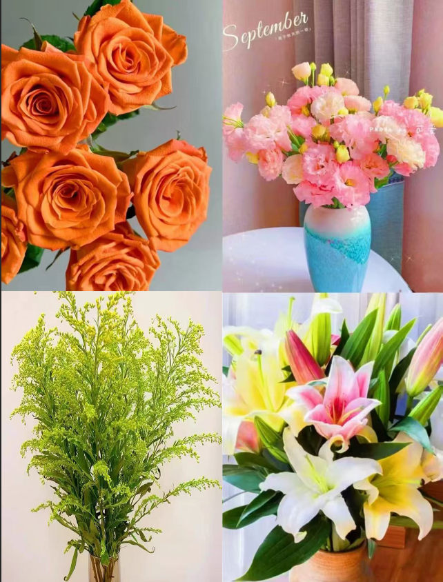 【巨蟹座玫瑰10枝+百合6朵+粉色洋桔梗+配草 】套餐不参与顺丰