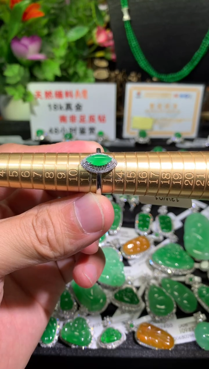 【闪购商品】翡翠颈饰18K金镶嵌马眼