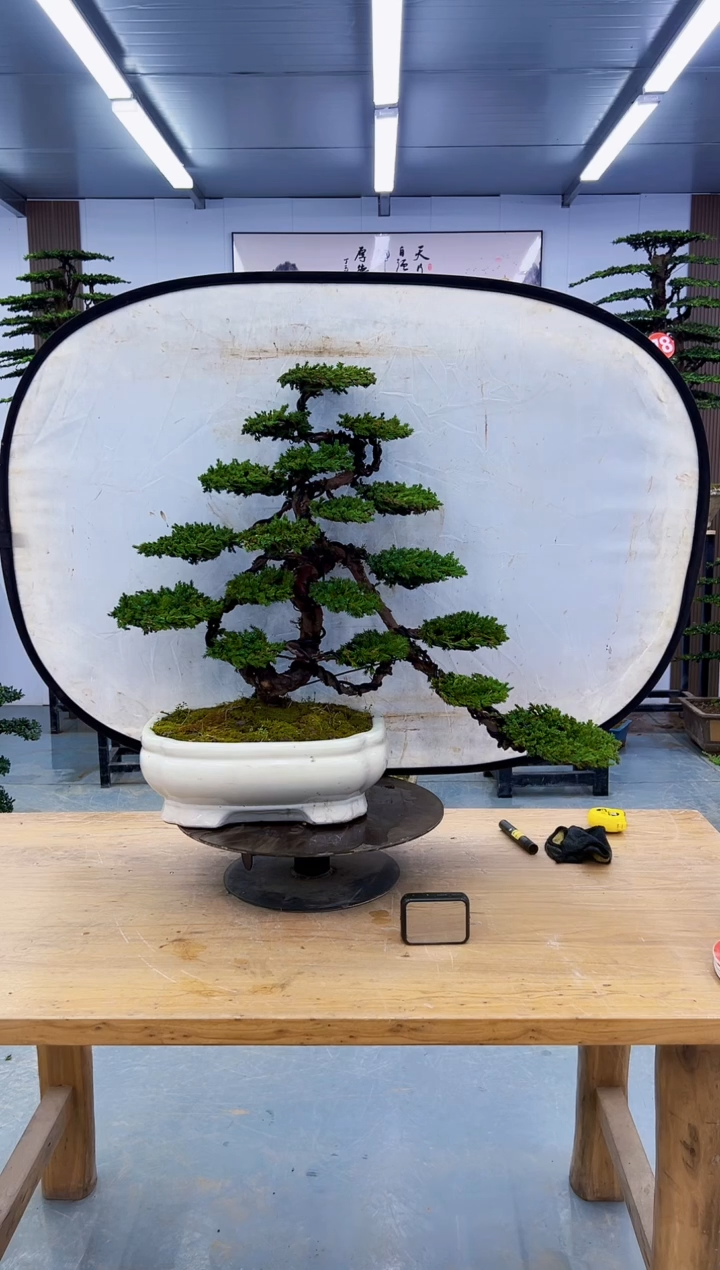 以实际为准000000000000000