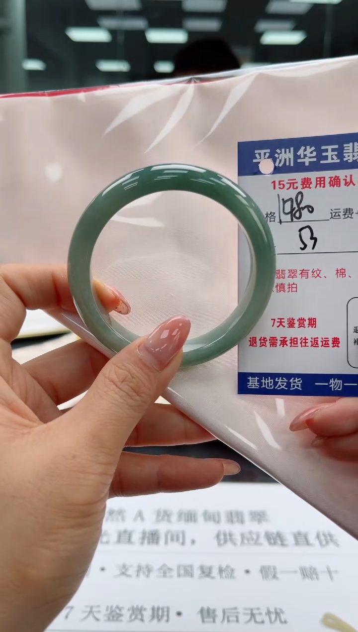 未镶嵌手镯翡翠1980.0000