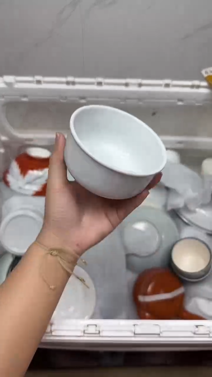 【闪购商品】260回流瓷器默认微瑕，18.8包邮