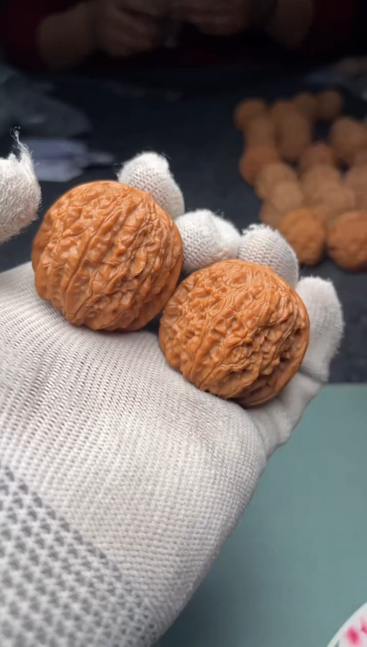 核桃a182  血麒麟   35尺