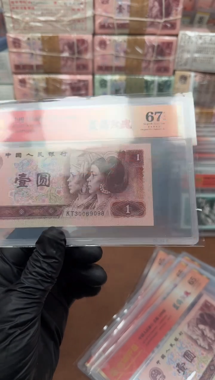 901 KT30069098 蓝海玫瑰  单张 67