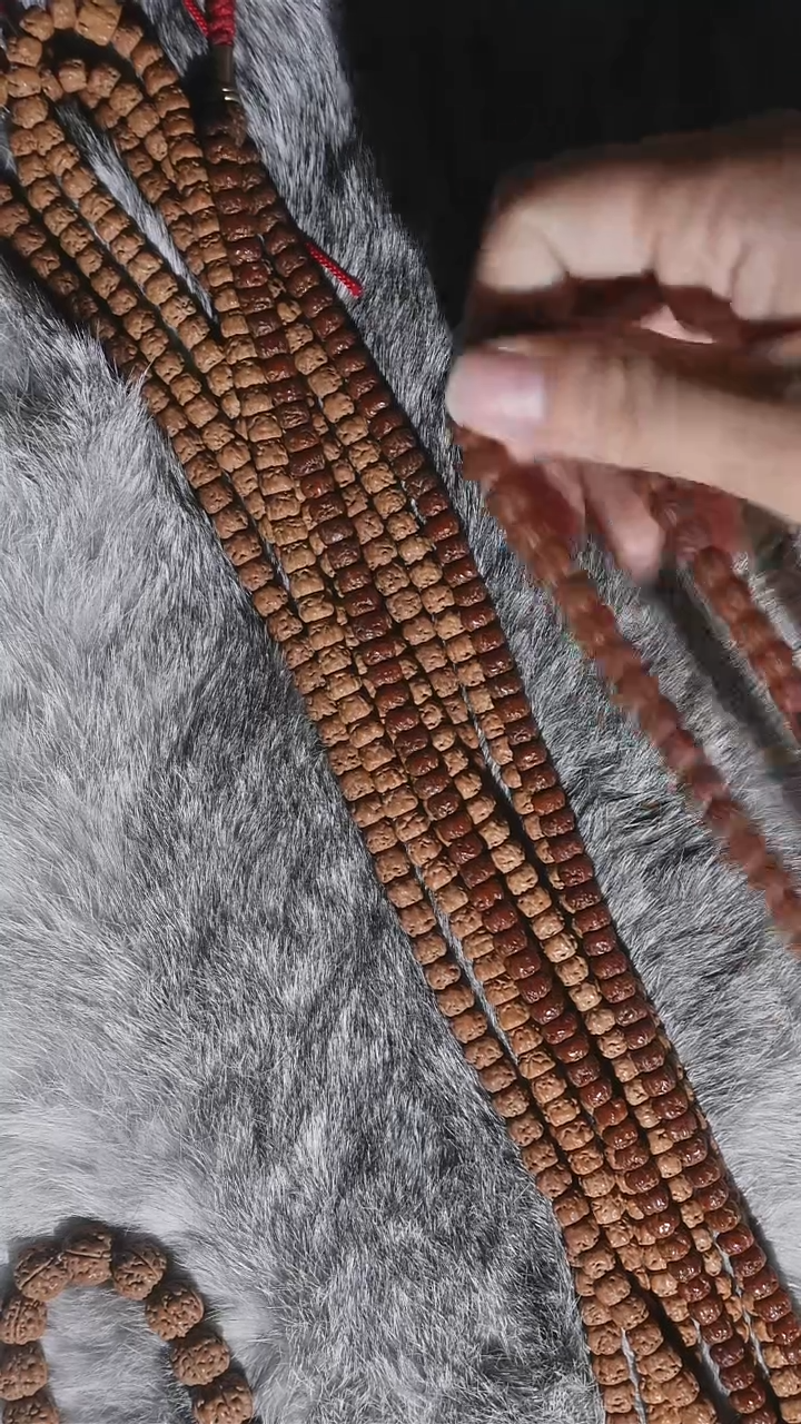 金刚菩提吊坠藏式五爪金龙佛手108长串6+mm