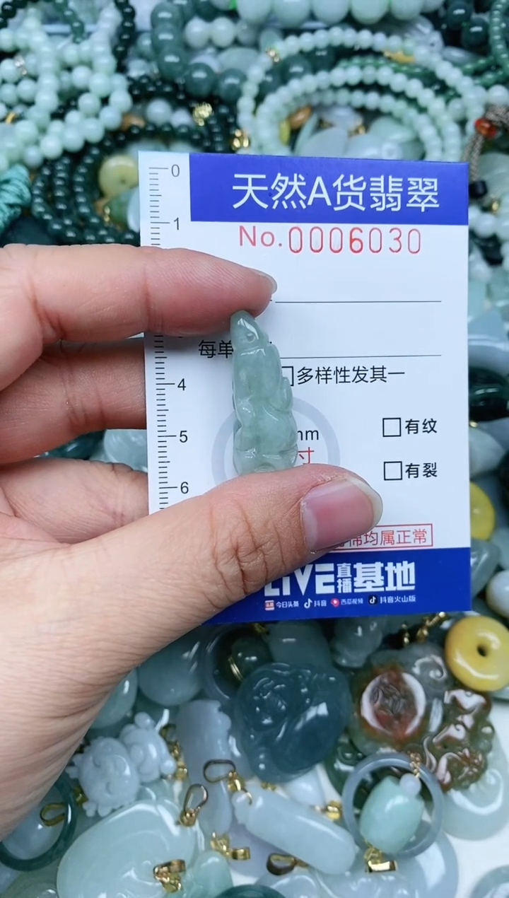 【闪购商品】翡翠吊坠(不含链)未镶嵌翡翠