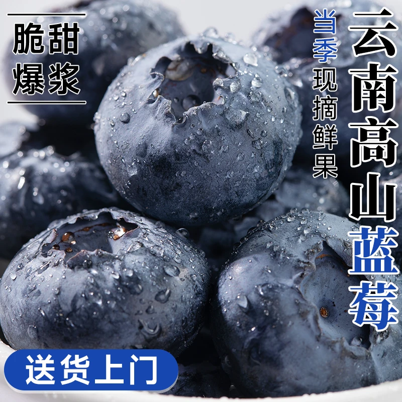 【4盒】云南花香蓝莓新鲜水果当季蓝梅鲜果现摘怡颗孕妇整箱包邮