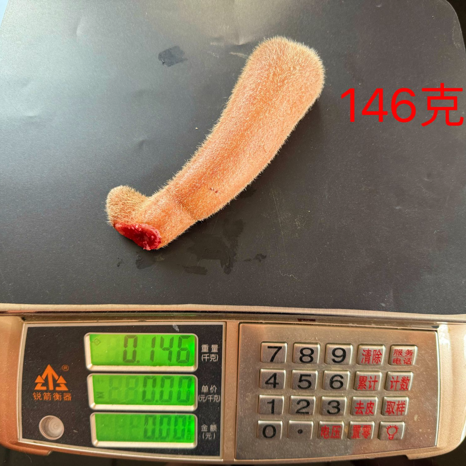 梅花鹿头茬鹿茸 泡酒煲汤 吉林产地发货