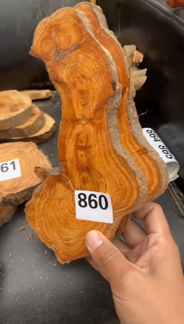 柏木（崖柏）太行陈化崖柏切片！随机（1单1片）860