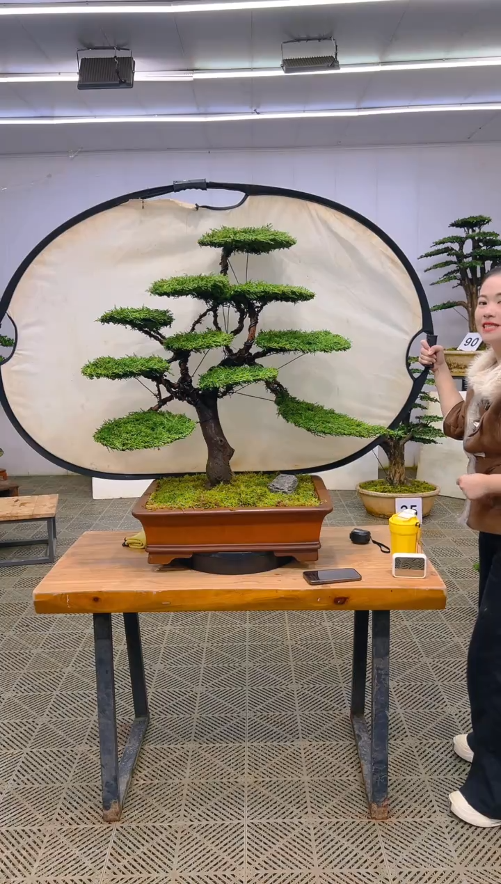 无花朵一物一拍一物一拍