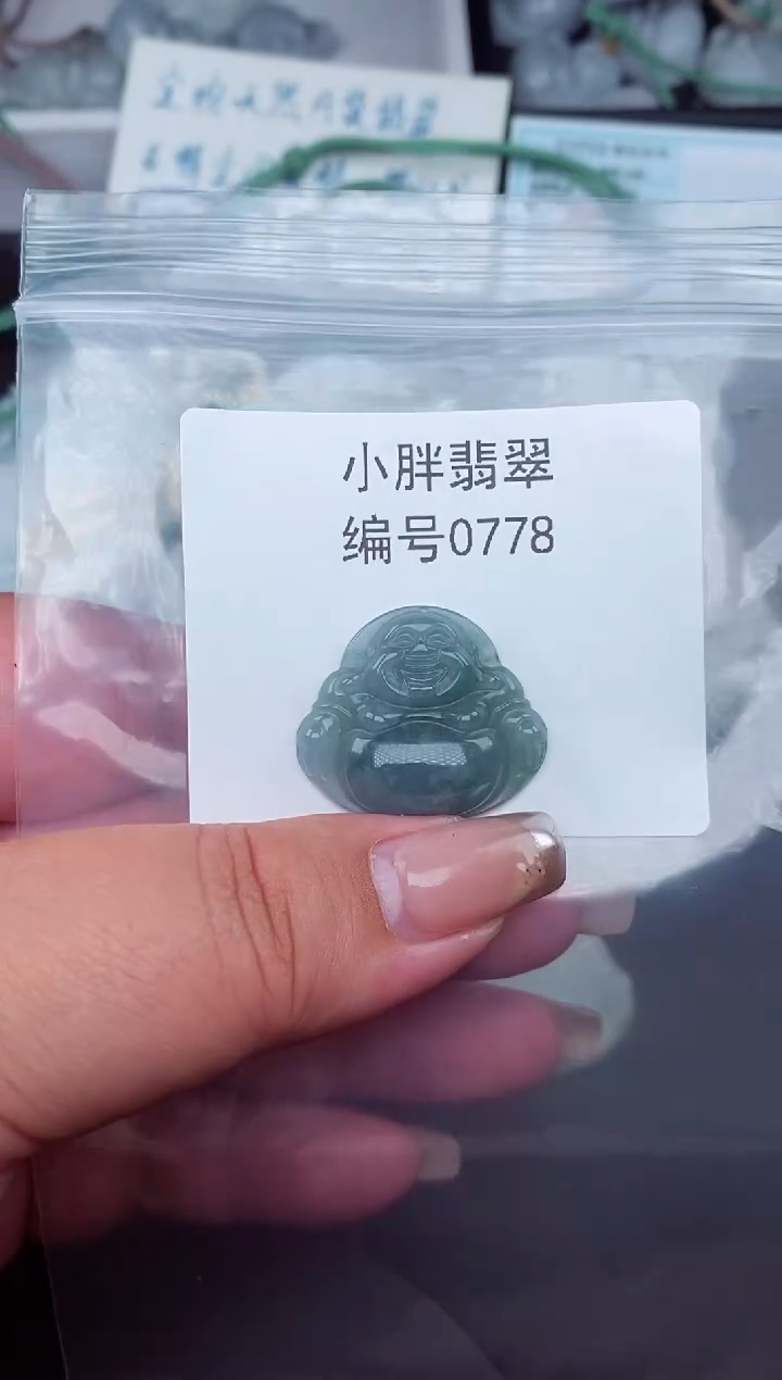 翡翠未镶嵌颈饰缅甸天然A货翡翠0778