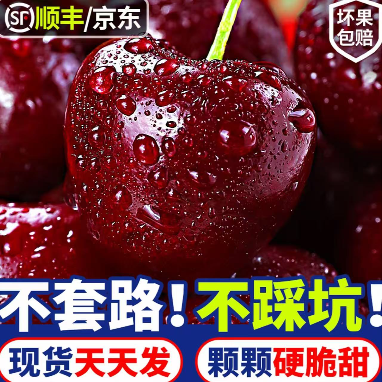 金【桑提娜次日达】3JD果王空运车厘子新鲜水果宝宝孕妇水果DS内附果径卡2500g桑提娜樱桃智利共和国