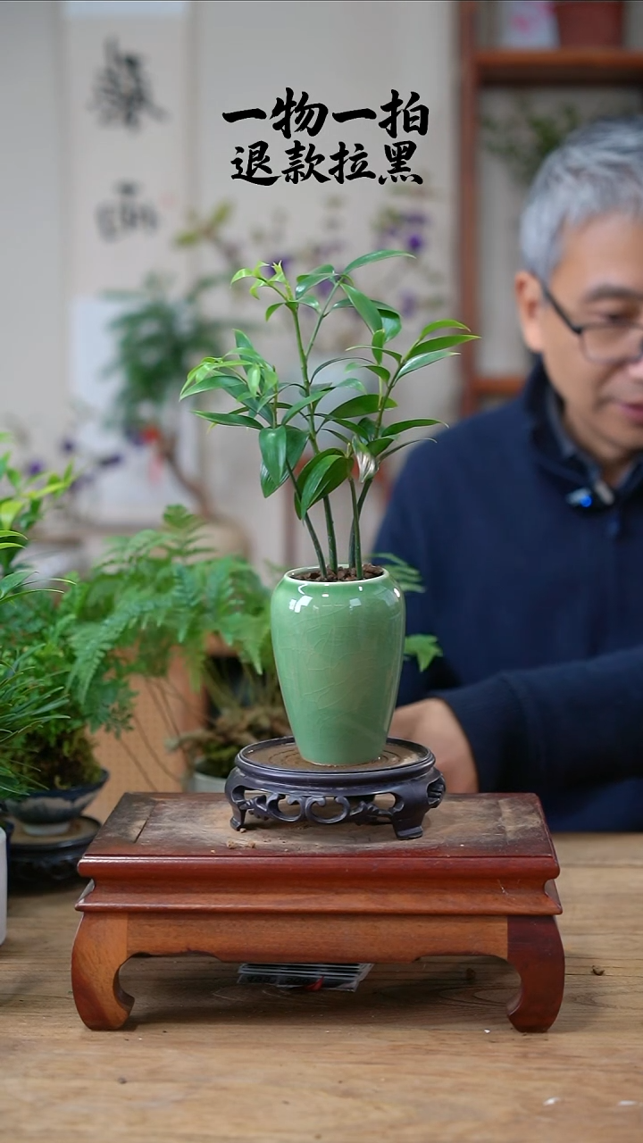 完全开放ʚ****ɞ竹柏072