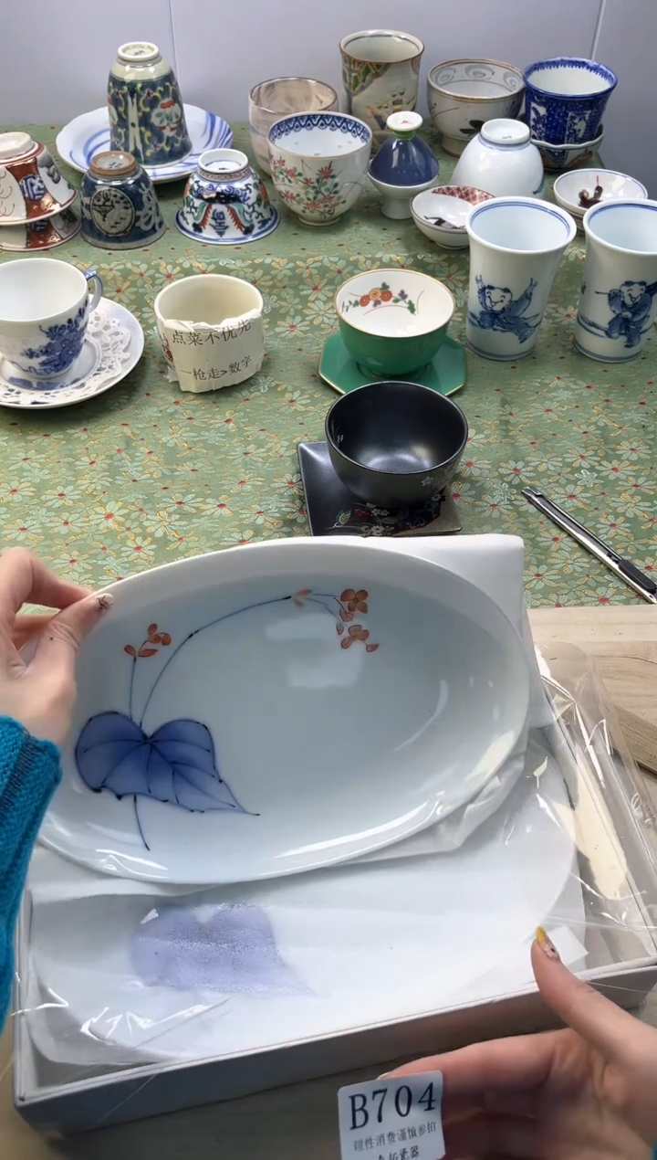 【闪购商品】瓷片          B704