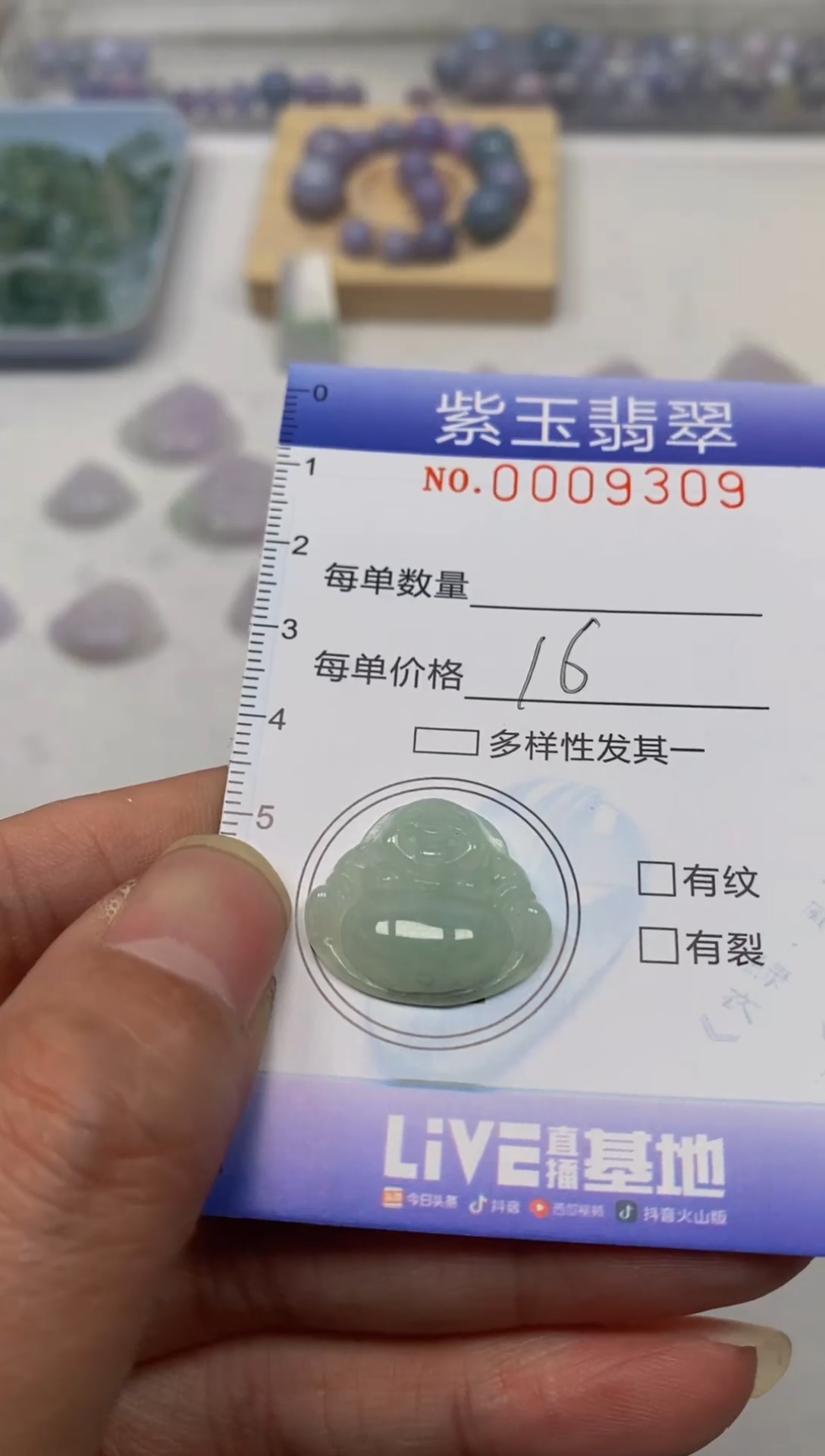 【闪购商品】翡翠颈饰未镶嵌挂件