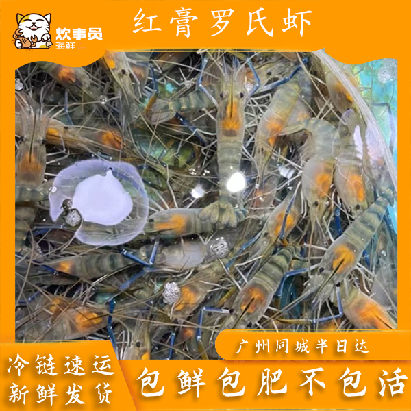 两斤鲜活红膏罗氏虾 野生有大有小 活活盖冰发 包鲜包肥不包活 