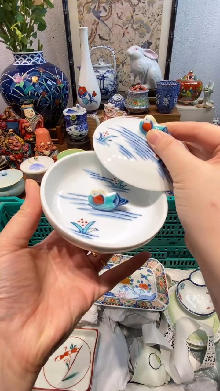 瓷片茉莉商品一号 240