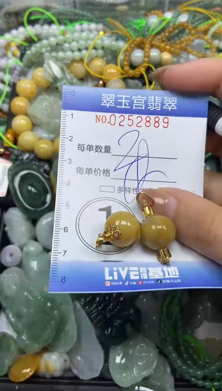 颈饰未镶嵌翡翠闪购C0252889