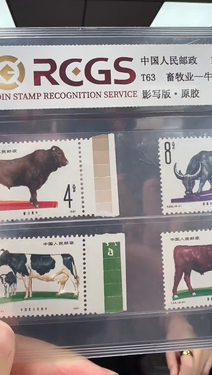 T63 畜牧业-牛 色标 套票 邮票 RCGS评级 原胶