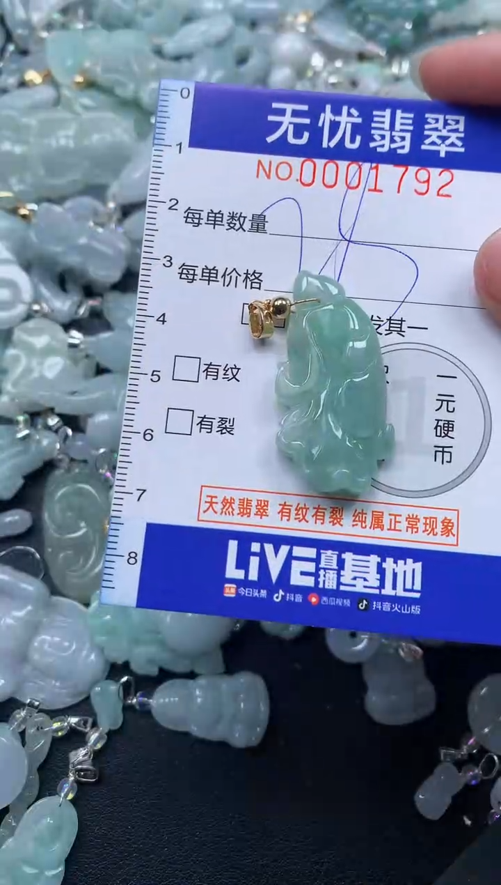 颈饰未镶嵌翡翠1792