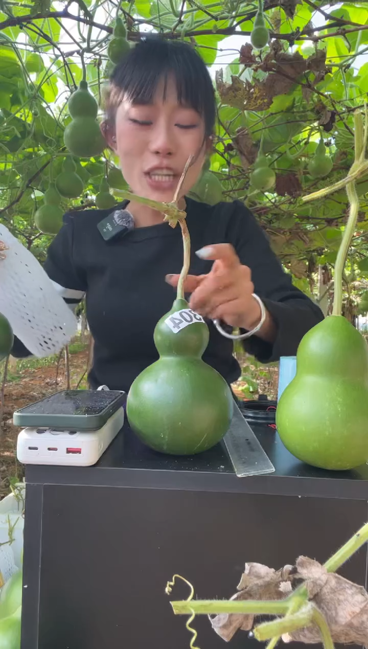 304天然葫芦摆件 一物一拍龙头不保售后