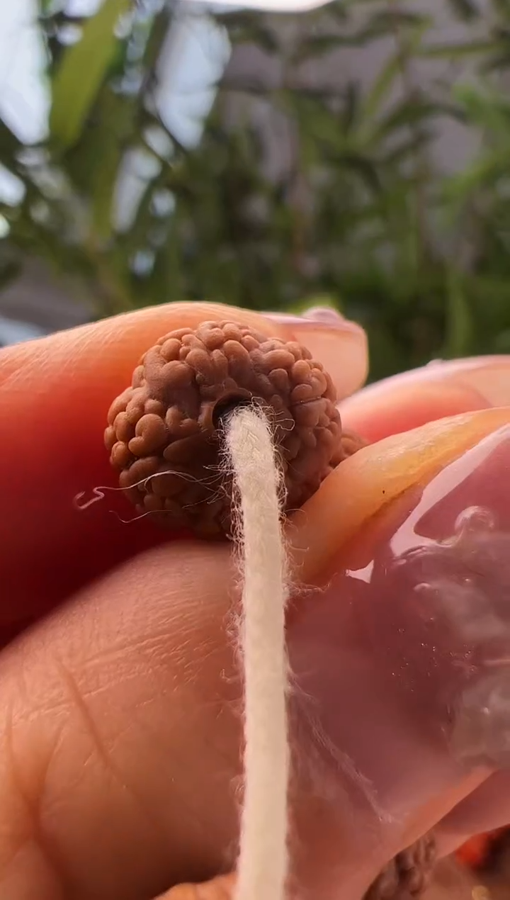 金刚菩提吊坠毒药龙鳞108《四瓣》9mm左右